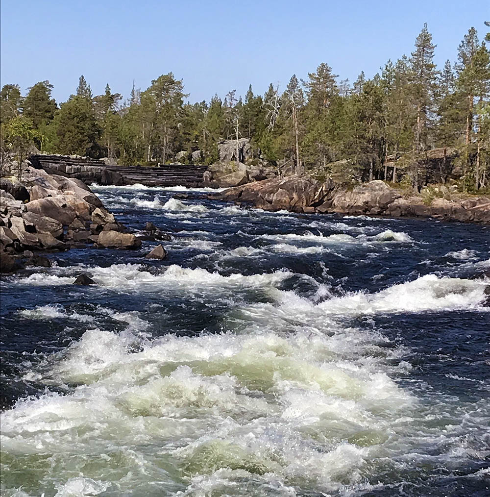 Bj&ouml;ridesforsen 1000.jpg