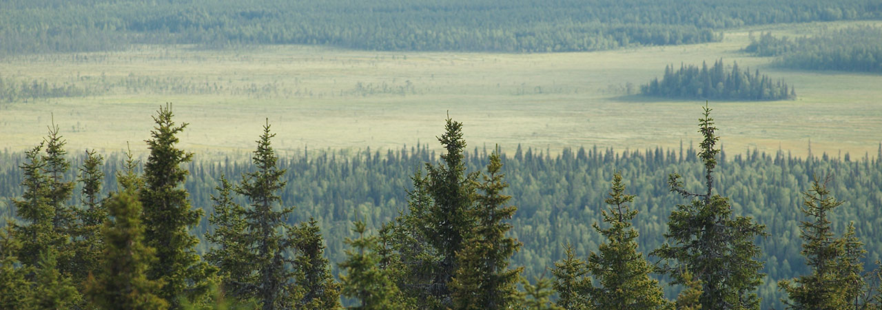 Vy över Ekopark Rautiorova