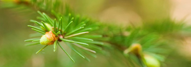 Read our latest financial report