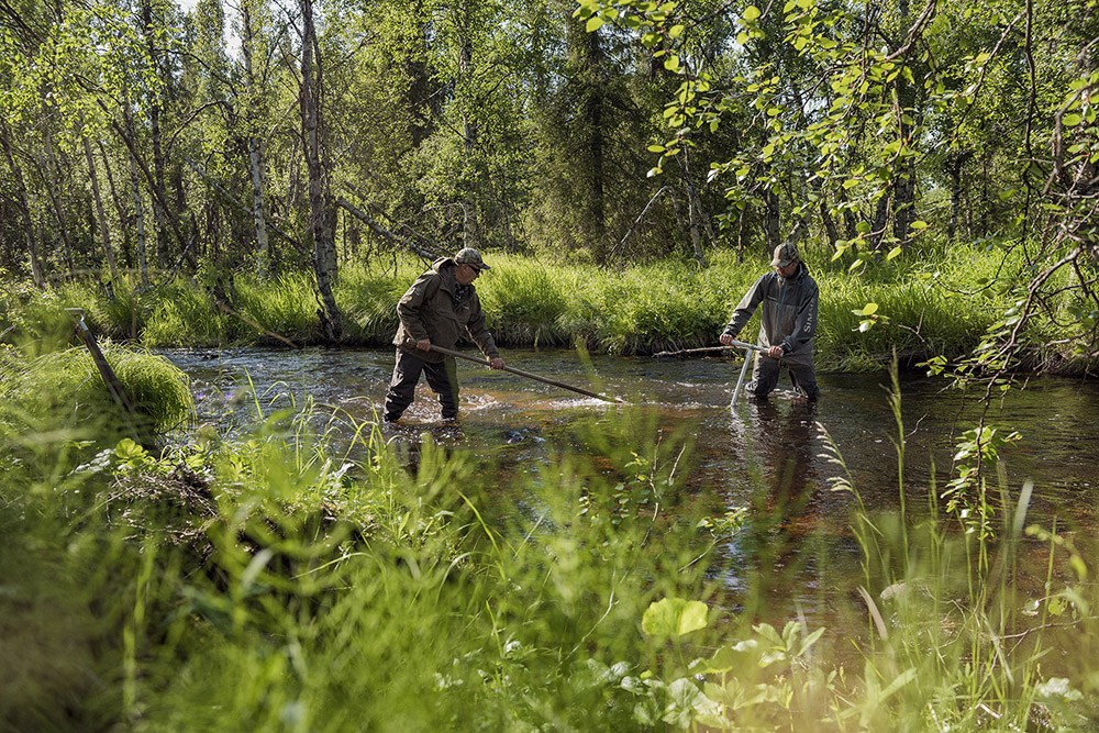 Lekbottnar återställs