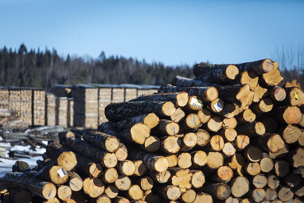 web 220225_Vanh&auml;ll_S&aring;g-28.jpg