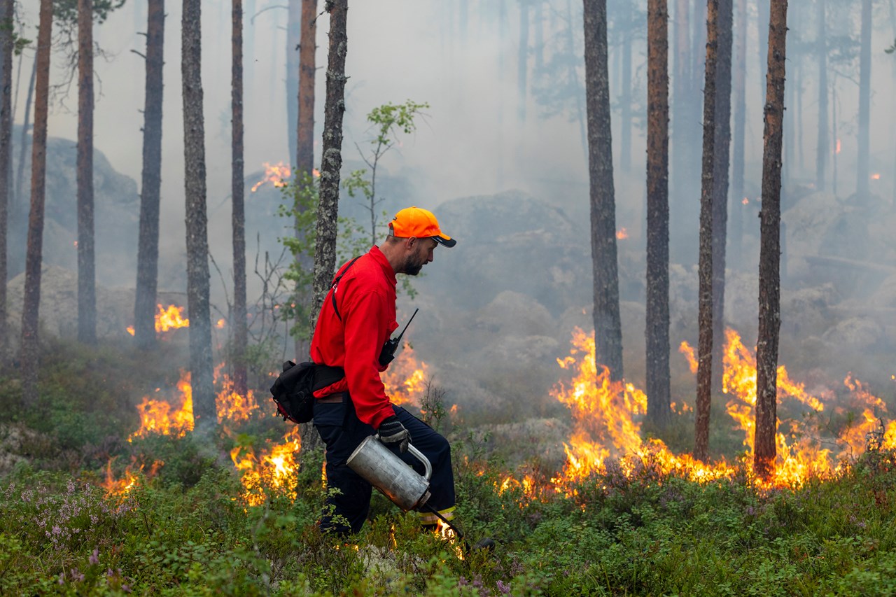 Naturvårdsbränning